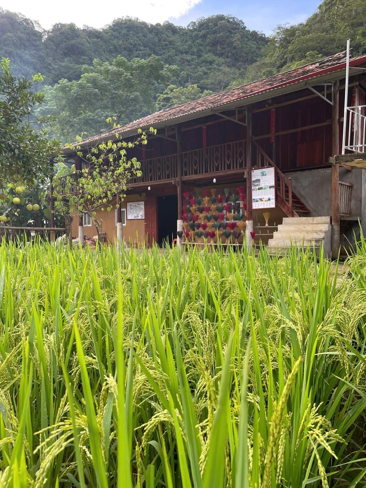 Nung An Homestay Quang Uyen Exterior foto